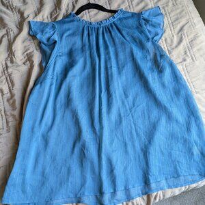 Sheer blue with silver threads Torrid top